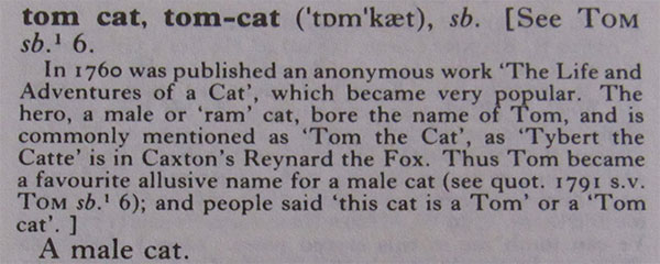 Oxford English Dictionary: "Tom cat, tom-cat"